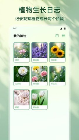 花朵物语 1.2 安卓版 3
