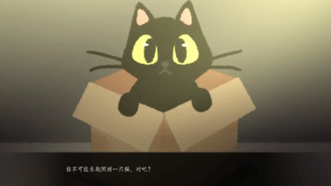别带这只猫回家 1.0 安卓版 2
