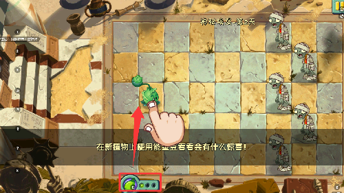 1768888243485565.jpg 1.jpg