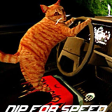 猫司机NipForSpeed