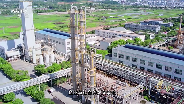 落花听雨电视直播APP下载最新版-落花听雨TV版安装包下载电视盒子版v2026