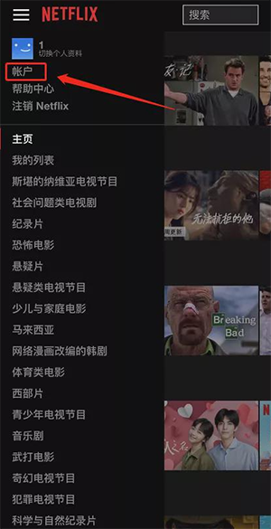奈飞Netflix安卓版安装包下载-奈飞官方下载中文版2026最新版本v9.49.1 build 6 63953