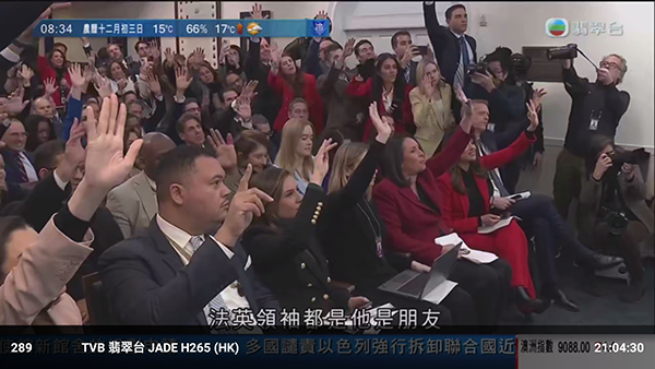 落花听雨 2026 安卓版 1