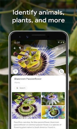google lens 1.18.250731009 安卓版 2