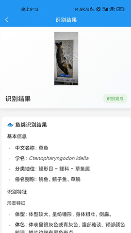 识鱼 1.0.9 安卓版 3