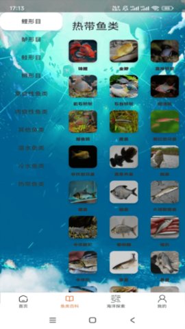 悠然鱼语 1.0.1 安卓版 2