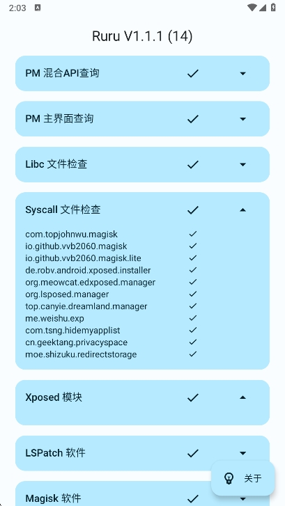 Ruru环境检测 1.1.1 安卓版 3