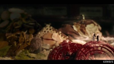 猫猫影院 8.6 安卓版 1