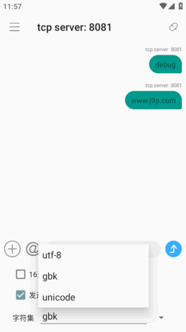 TCP网络调试助手 1.0.7 安卓版 1
