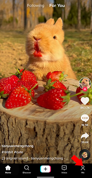 tiktok泰国版抖音短视频app官方下载-tiktok泰国版软件海外版免费下载