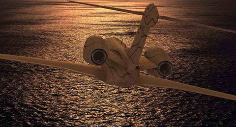 无限飞行 25.1.5 安卓版 1