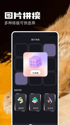 布偶相机 1.15 安卓版 1