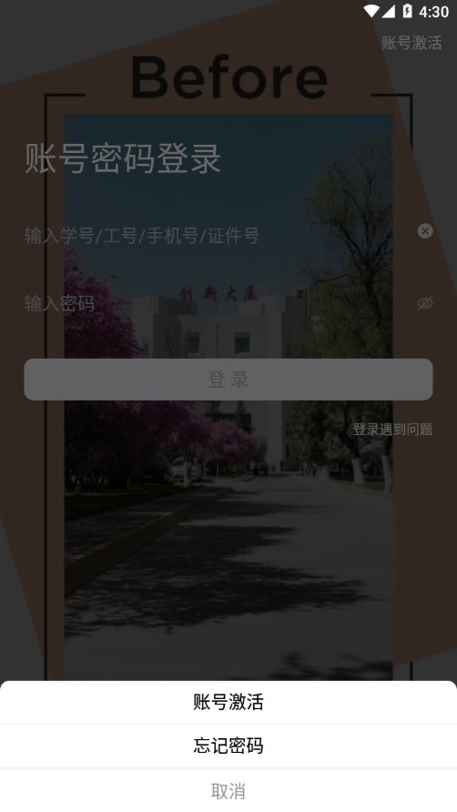 掌上青大 1.0.31 安卓版 1
