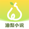 油梨小说