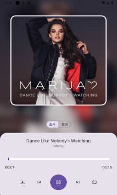 音乐搜索 1.3 最新版 1