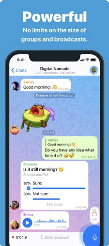 纸飞机telegram 12.5.0 安卓版 3