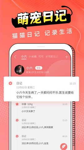 Cat Translation 3.1.5 安卓版 2