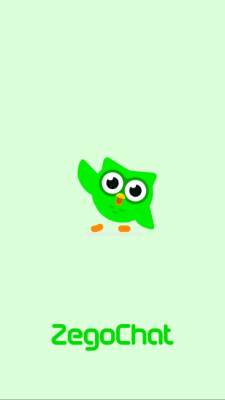zegochat 3.1.1 最新版 2