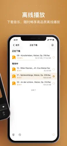 HiFier 1.0 安卓版 3