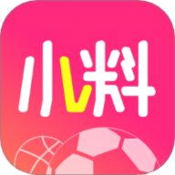 小料