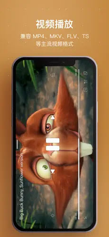 HiFier 1.0 安卓版 1