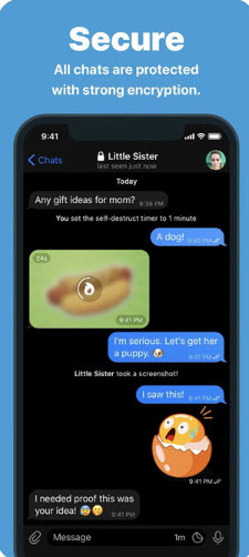 纸飞机telegram 12.5.0 安卓版 2