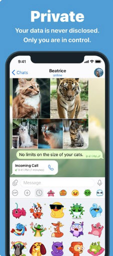 纸飞机telegram 12.5.0 安卓版 1