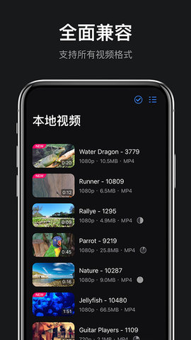 rPlayerVR 1.1.0 安卓版 2