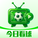 今日看球