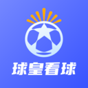 球皇看球