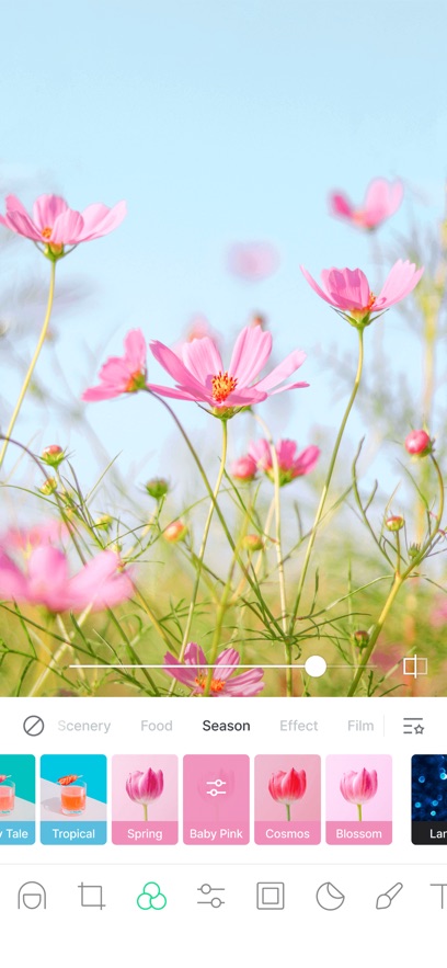 小熊相机line camera