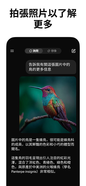 grok4.5 1.1.89-release.01 安卓版 1