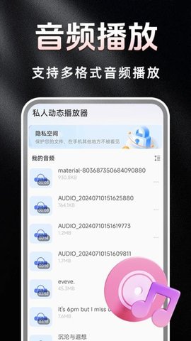私人动态播放器 1.0.3 安卓版 2