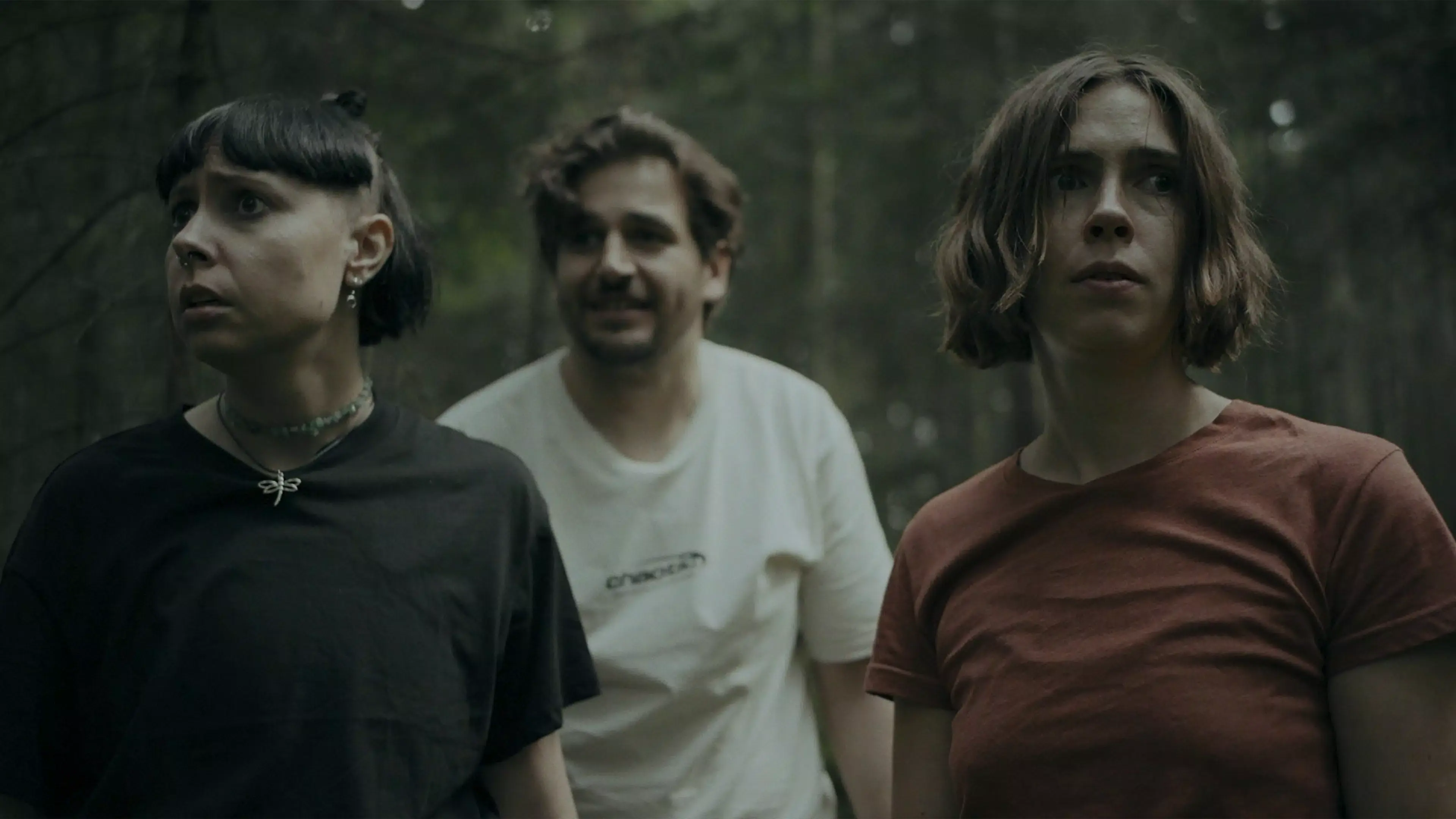 幽林深处 1.0 安卓版 4