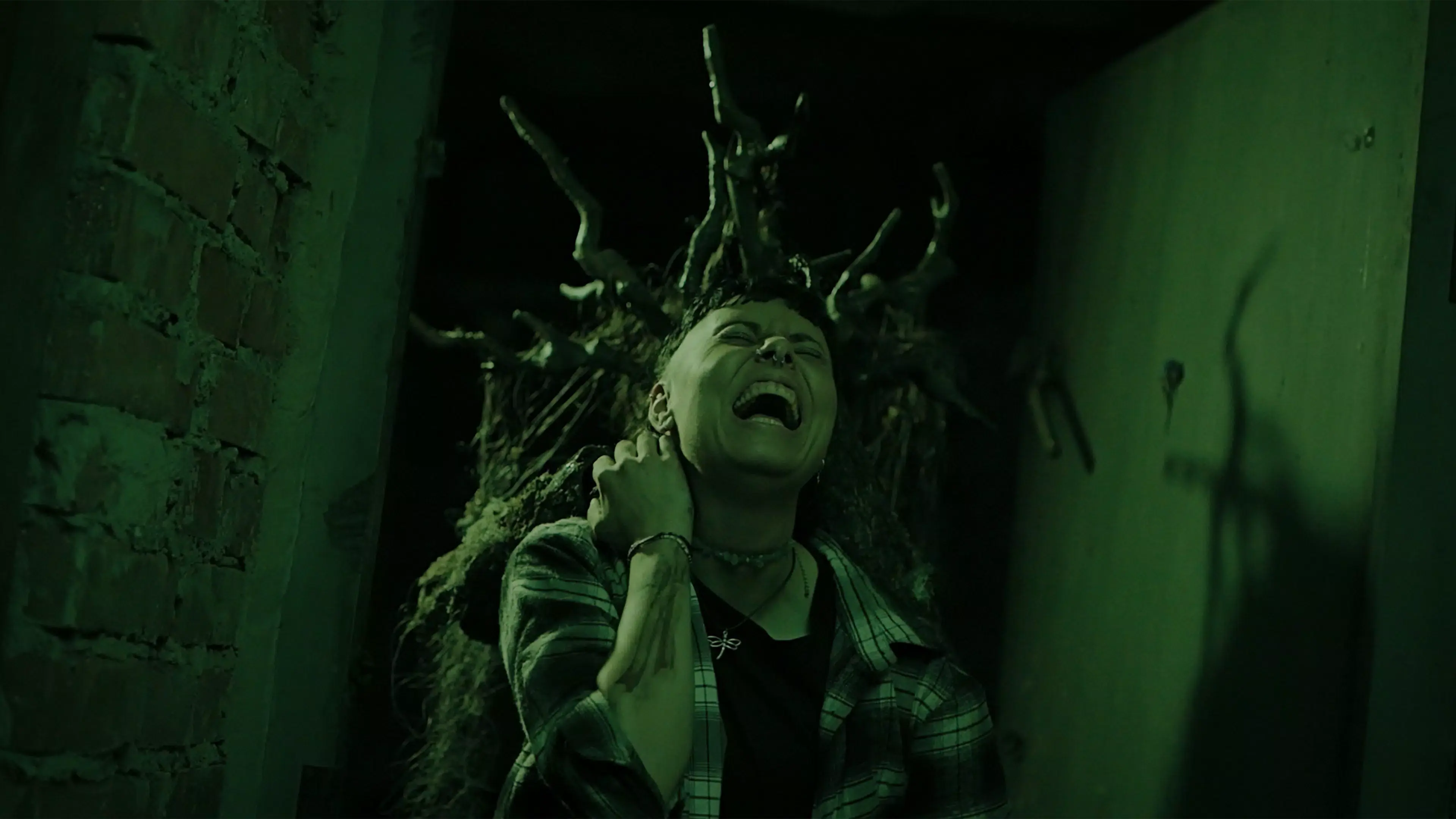 幽林深处 1.0 安卓版 2