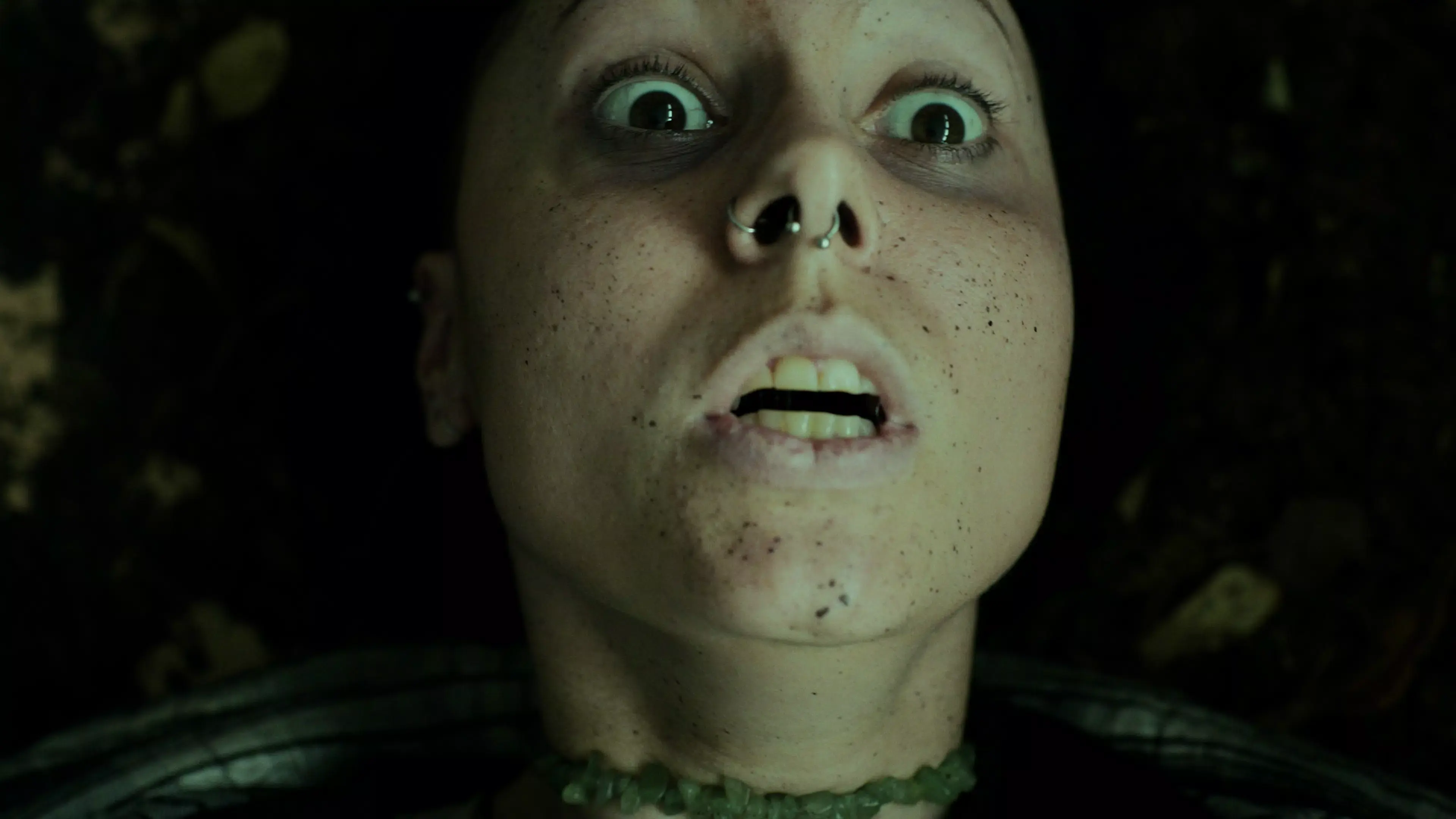 幽林深处 1.0 安卓版 3