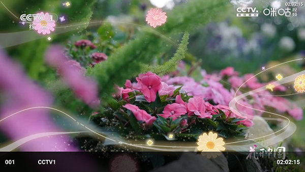 疾速视界TV版下载最新版本-疾速视界安装包下载电视盒子版v3.5.4