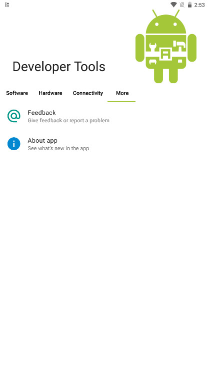 Developer Tools 2.4.5 安卓版 2