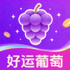 好运葡萄