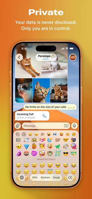 纸飞机telegfammac版本 12.5.0 安卓版 1