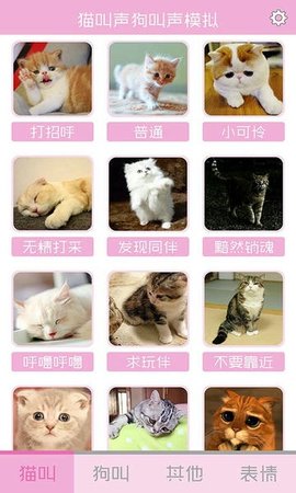 猫叫声狗叫声模拟 10.0 安卓版 1