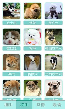 猫叫声狗叫声模拟 10.0 安卓版 2