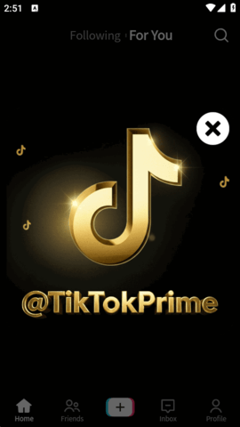 TikTok白金版 44.9.42 安卓版 2