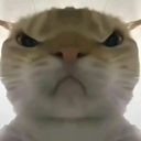 三角洲行动鼠鼠工具鼠鼠点饭