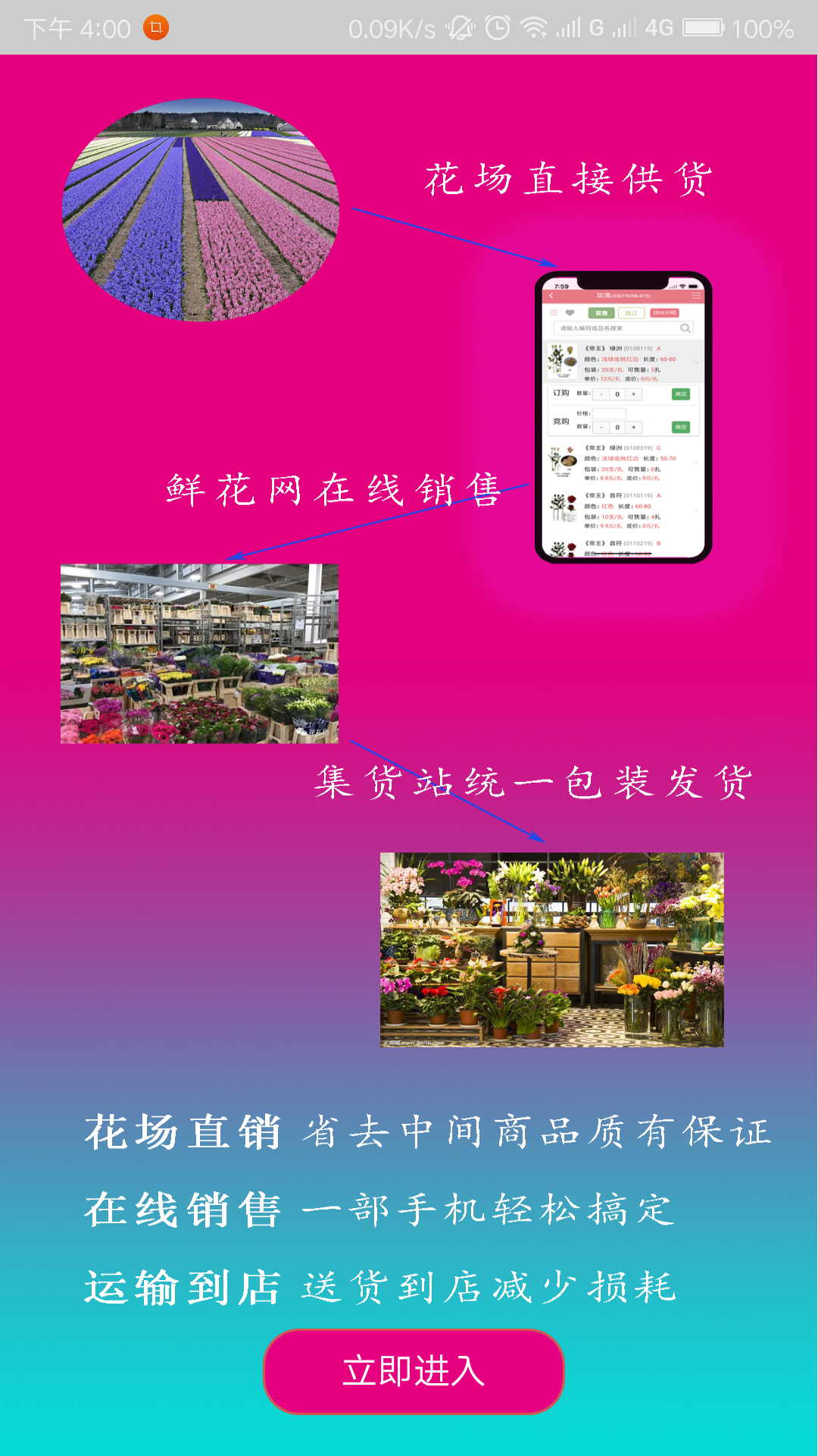 麻花鲜花 1.2.03 安卓版 1