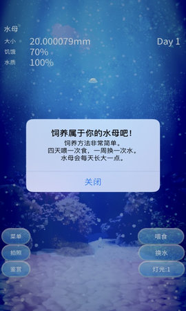养育水母的治愈 1.0.0 安卓版 2