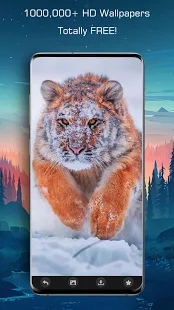 百万高清壁纸 3.1 安卓版 3