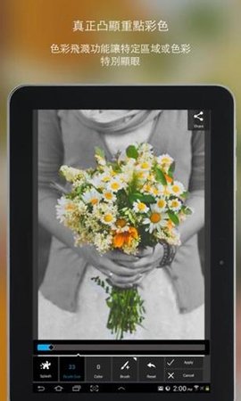 Pixlr 3.8.2 安卓版 3
