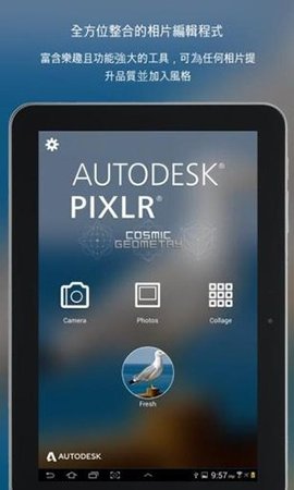 Pixlr 3.8.2 安卓版 1