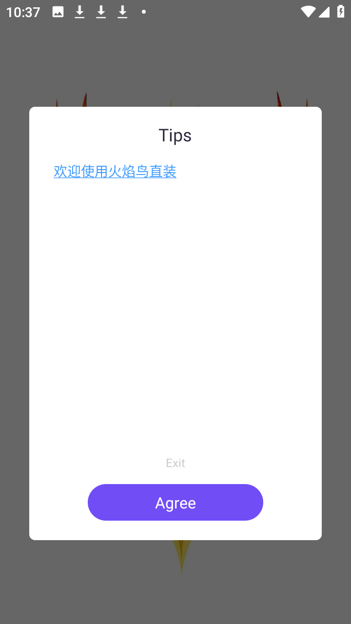 火焰鸟v4 1.0 安卓版 2